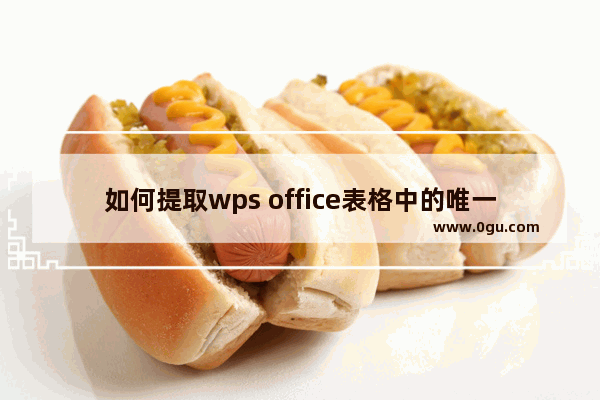 如何提取wps office表格中的唯一数据