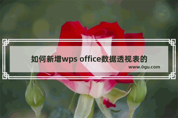 如何新增wps office数据透视表的项目？