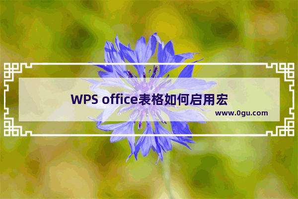 WPS office表格如何启用宏