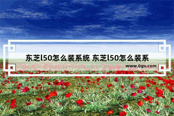 东芝l50怎么装系统 东芝l50怎么装系统教程