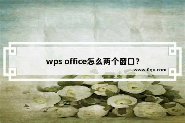 wps office怎么两个窗口？