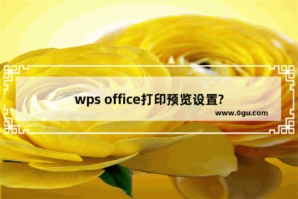 wps office打印预览设置?