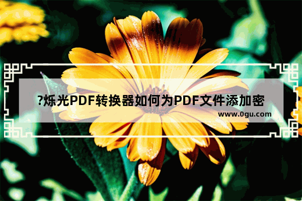 ?烁光PDF转换器如何为PDF文件添加密码 ?烁光PDF转换器加密保护文件的方法