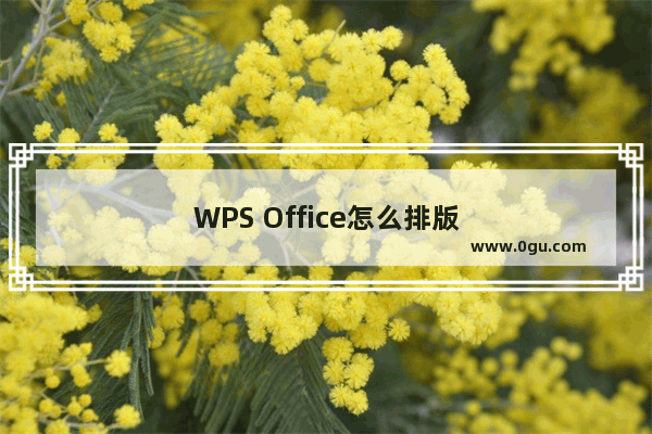 WPS Office怎么排版