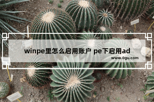 winpe里怎么启用账户 pe下启用administrator账户