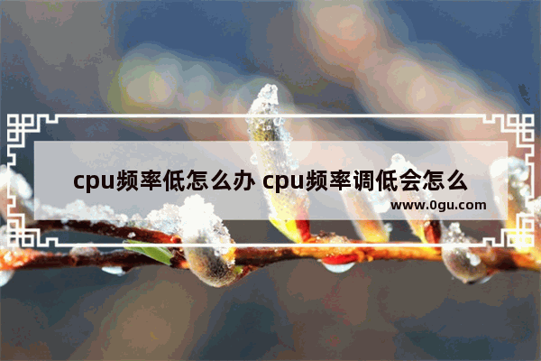 cpu频率低怎么办 cpu频率调低会怎么样