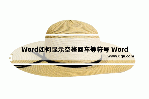 Word如何显示空格回车等符号 Word显示空格回车等符号的方法