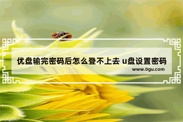 优盘输完密码后怎么登不上去 u盘设置密码后打不开