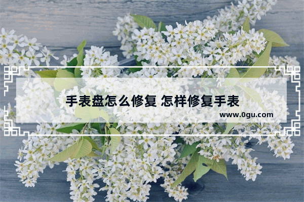 手表盘怎么修复 怎样修复手表