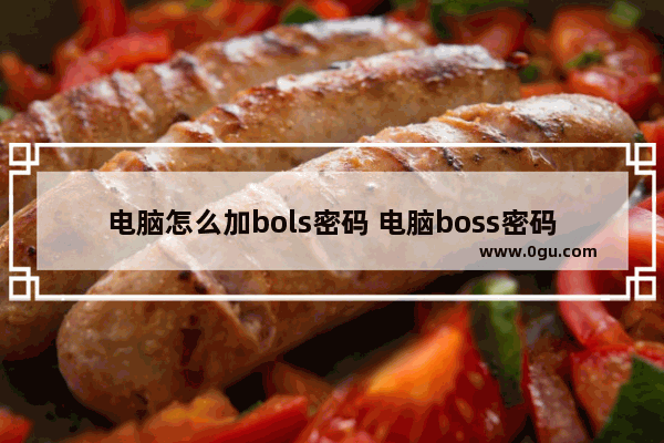 电脑怎么加bols密码 电脑boss密码怎么设置方法