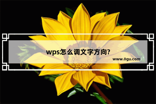 wps怎么调文字方向?