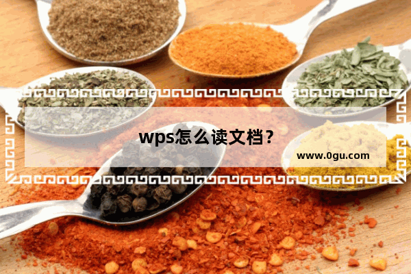 wps怎么读文档？