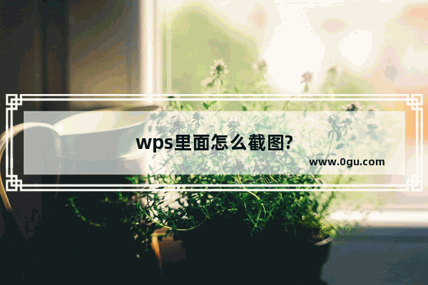 wps里面怎么截图?