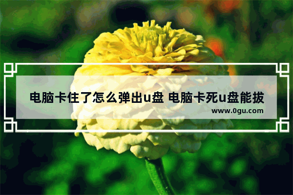 电脑卡住了怎么弹出u盘 电脑卡死u盘能拔吗
