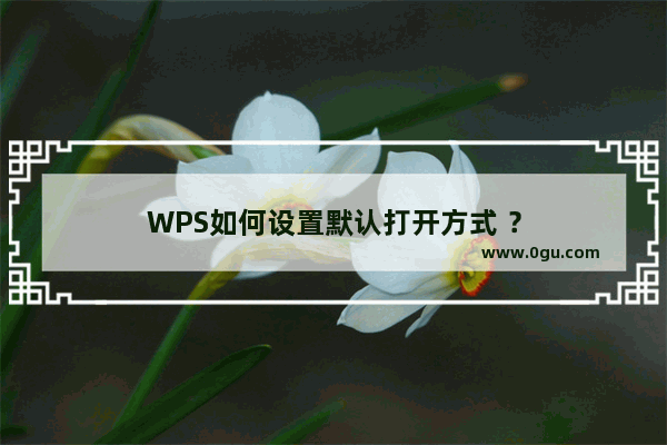 WPS如何设置默认打开方式 ？
