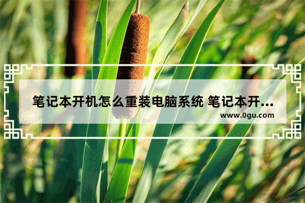 笔记本开机怎么重装电脑系统 笔记本开机怎么重装电脑系统教程