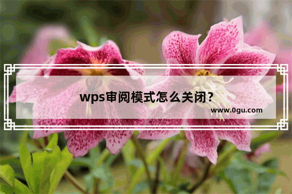 wps审阅模式怎么关闭？