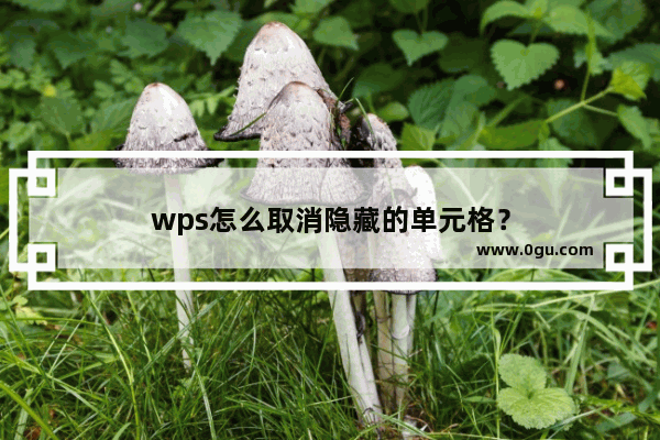 wps怎么取消隐藏的单元格？