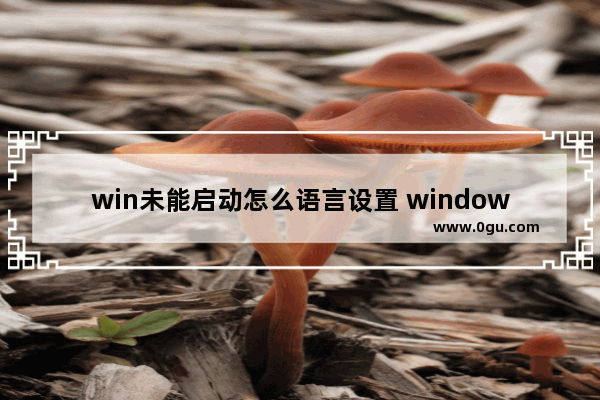 win未能启动怎么语言设置 windows未能启动选择语言设置
