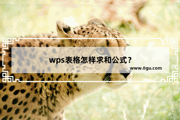 wps表格怎样求和公式？