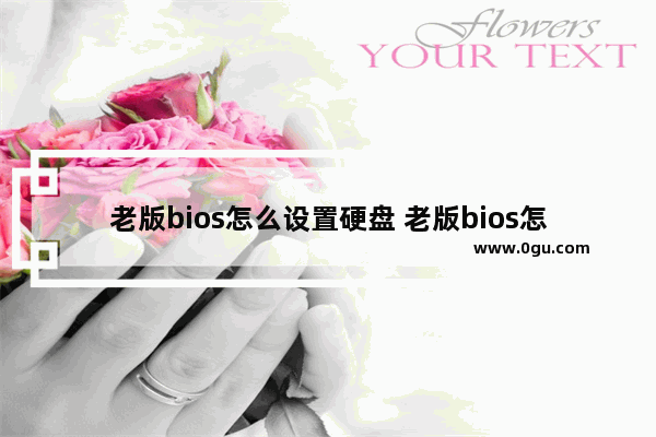 老版bios怎么设置硬盘 老版bios怎么设置硬盘启动项