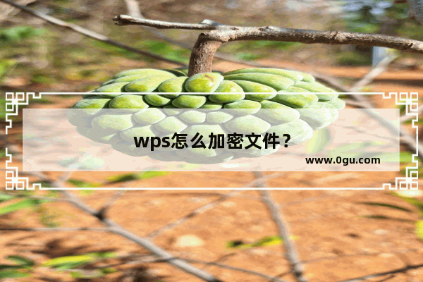wps怎么加密文件？
