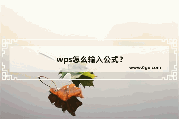 wps怎么输入公式？