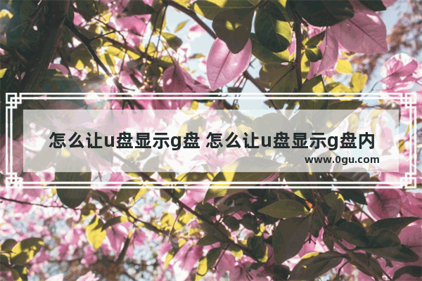 怎么让u盘显示g盘 怎么让u盘显示g盘内容