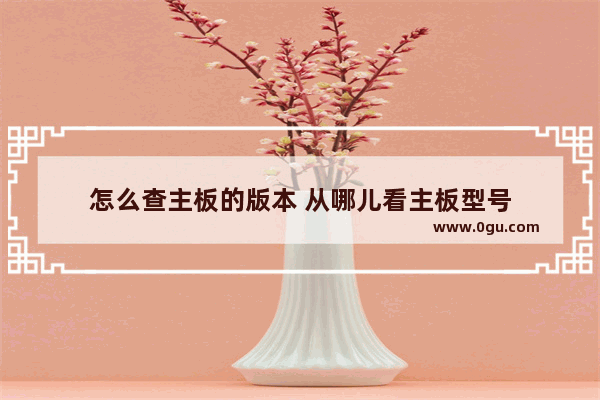 怎么查主板的版本 从哪儿看主板型号