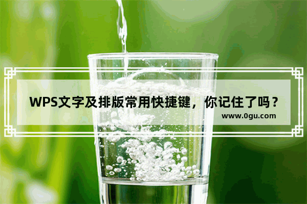 WPS文字及排版常用快捷键,你记住了吗?
