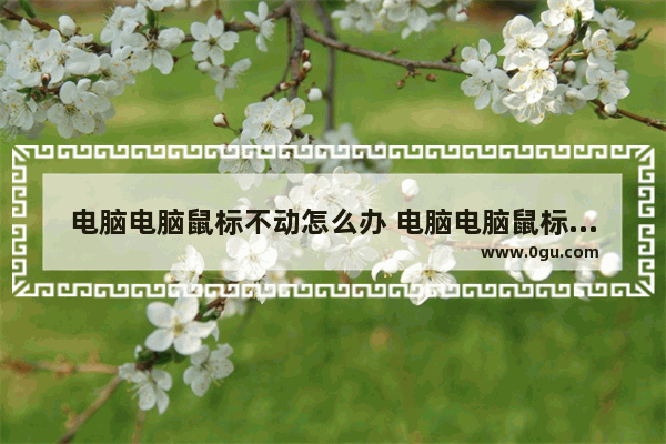 电脑电脑鼠标不动怎么办 电脑电脑鼠标动不了怎么办