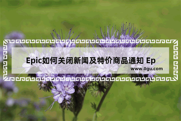 Epic如何关闭新闻及特价商品通知 Epic关闭新闻及特价商品通知的方法