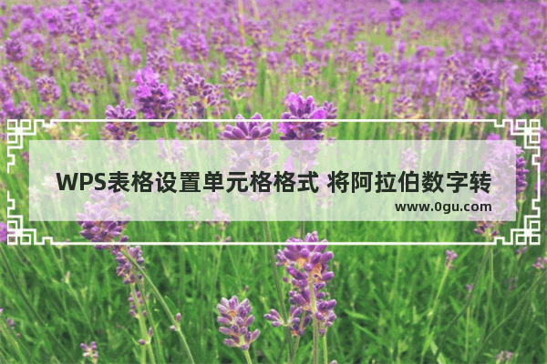 WPS表格设置单元格格式 将阿拉伯数字转换为人民币大写形式