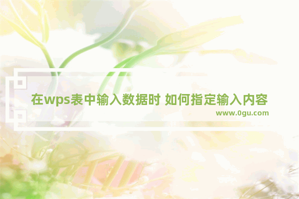 在wps表中输入数据时 如何指定输入内容和范围