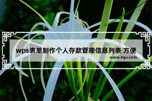 wps表单制作个人存款管理信息列表 方便投资和财务管理