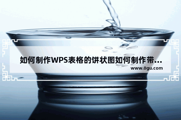 如何制作WPS表格的饼状图如何制作带有百分比示例的双饼状图