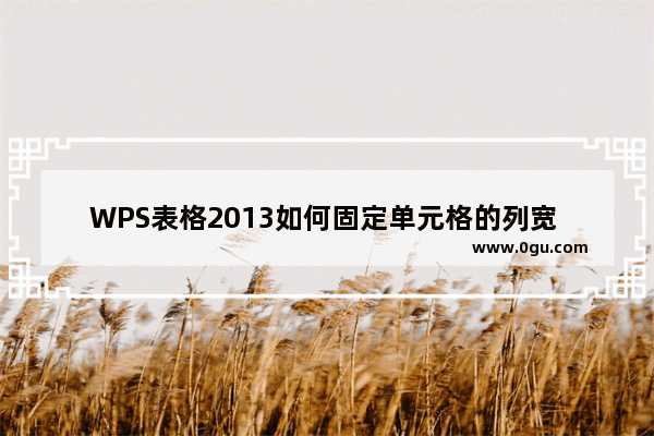WPS表格2013如何固定单元格的列宽 禁止他人随意调整