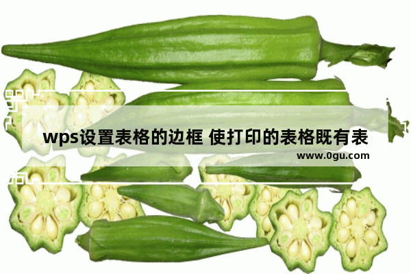 wps设置表格的边框 使打印的表格既有表格行又有文本