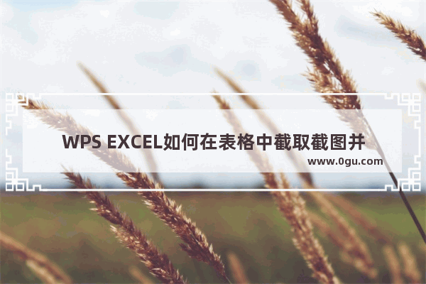WPS EXCEL如何在表格中截取截图并将所选部分粘贴为图片