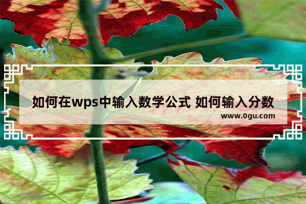 如何在wps中输入数学公式 如何输入分数或向量符号