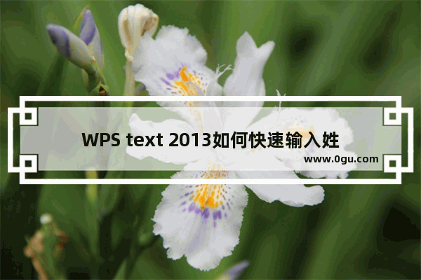 WPS text 2013如何快速输入姓名中罕见的难词