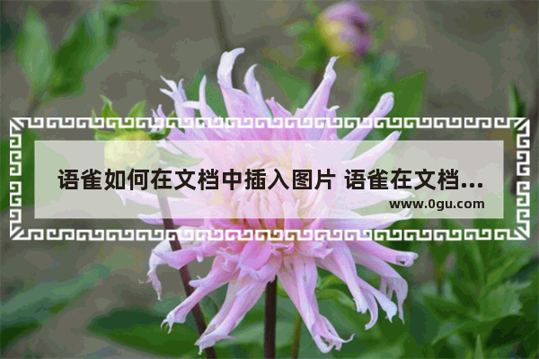 语雀如何在文档中插入图片 语雀在文档中插入图片的方法