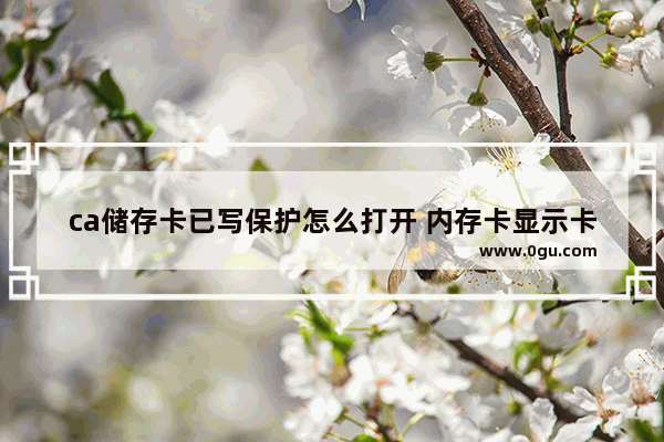 ca储存卡已写保护怎么打开 内存卡显示卡已写保护