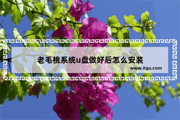 老毛桃系统u盘做好后怎么安装