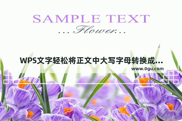 WPS文字轻松将正文中大写字母转换成小写