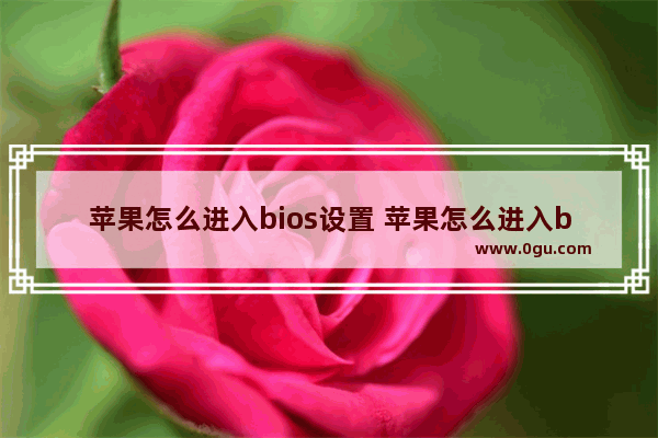 苹果怎么进入bios设置 苹果怎么进入bios设置界面