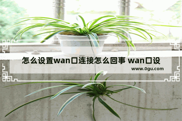 怎么设置wan口连接怎么回事 wan口设置怎么设置 连接方式