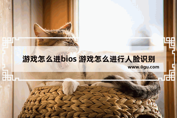 游戏怎么进bios 游戏怎么进行人脸识别
