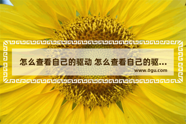 怎么查看自己的驱动 怎么查看自己的驱动程序