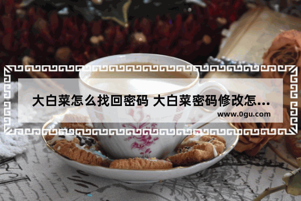 大白菜怎么找回密码 大白菜密码修改怎么用